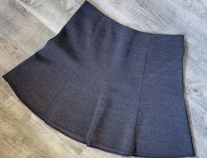Ann Taylor Skirt